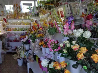 Kwiaciarnia. WIOLETTA. Duże Centrum Kwiatowe. Kwiaty. Wiązanki. Wieńce. Akcesoria kwiatowe.